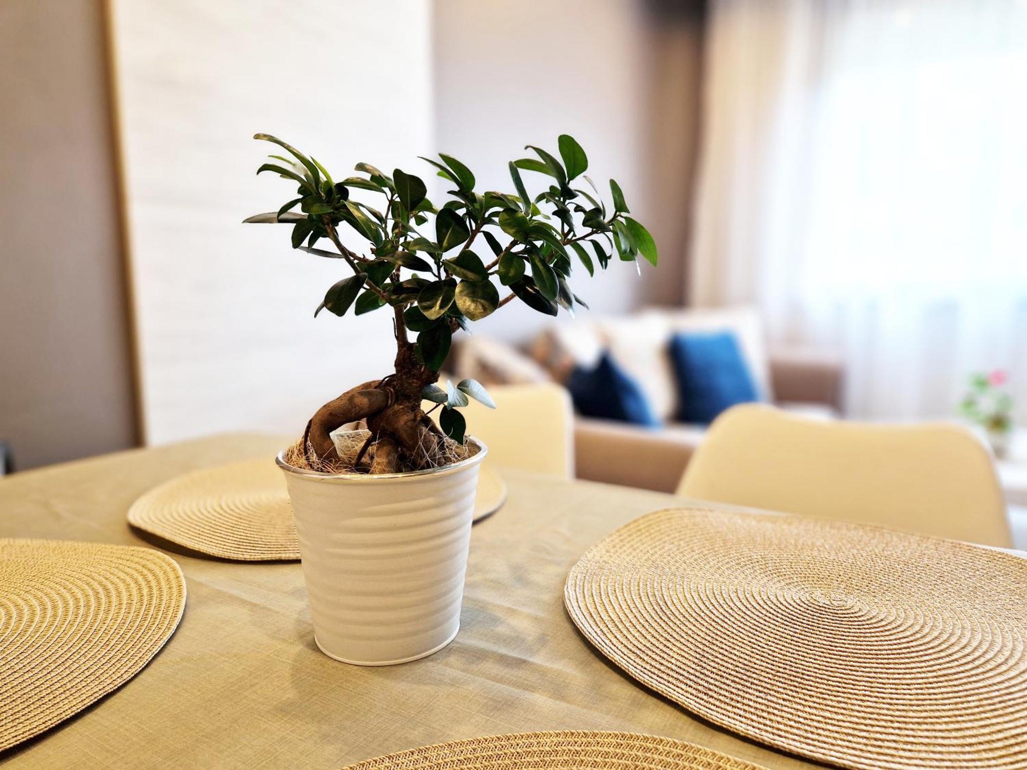 - Spacious Designer In Apartment *
